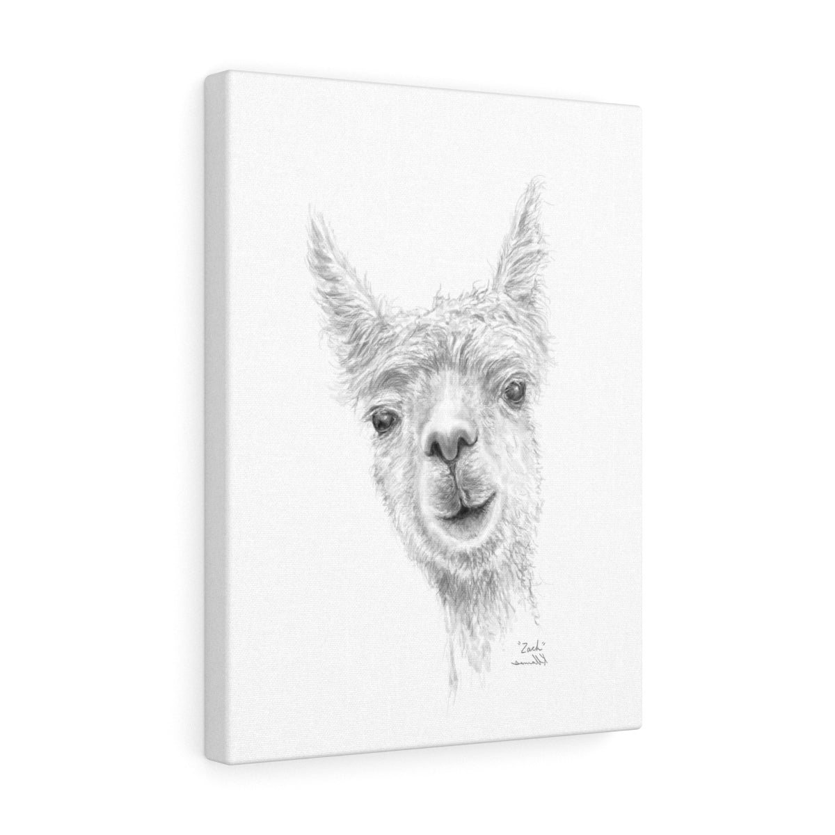 ZACH Llama - Art Canvas