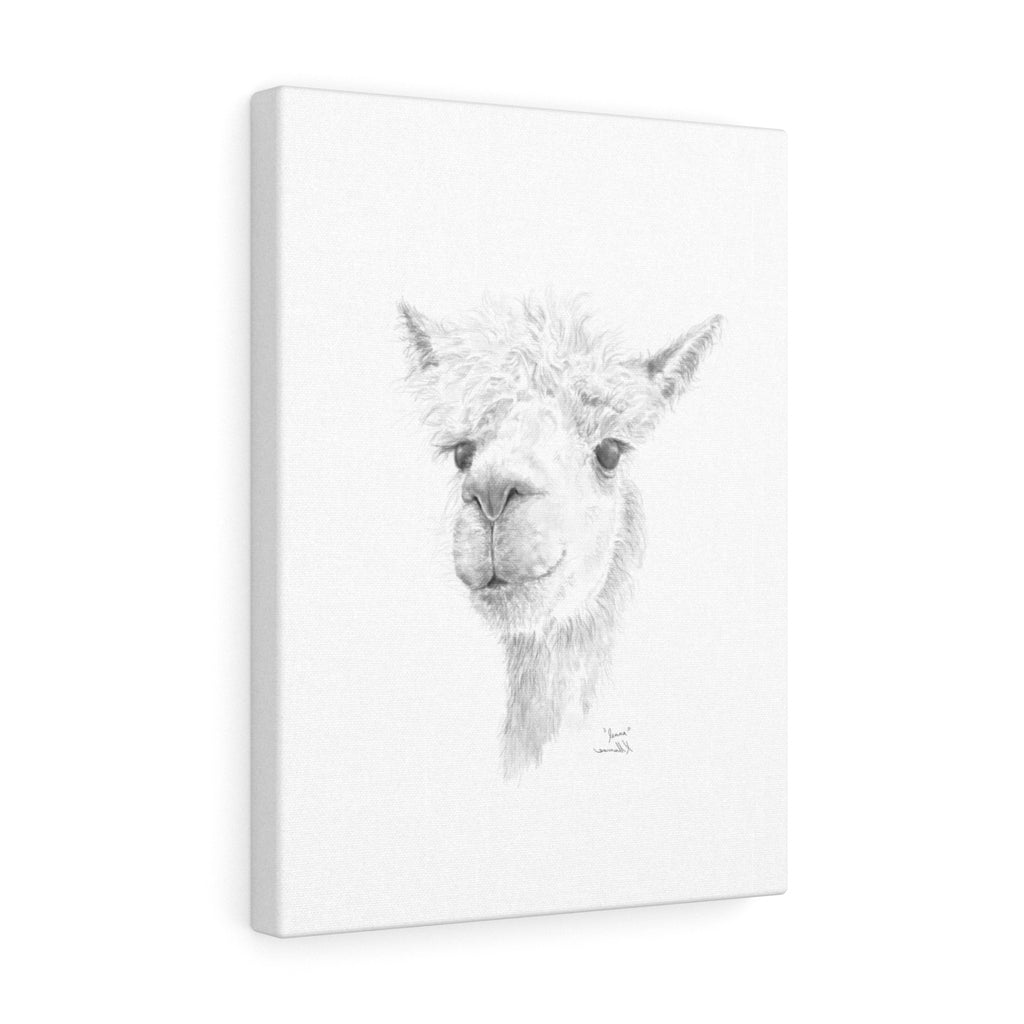 Jenna Llama - Art Canvas