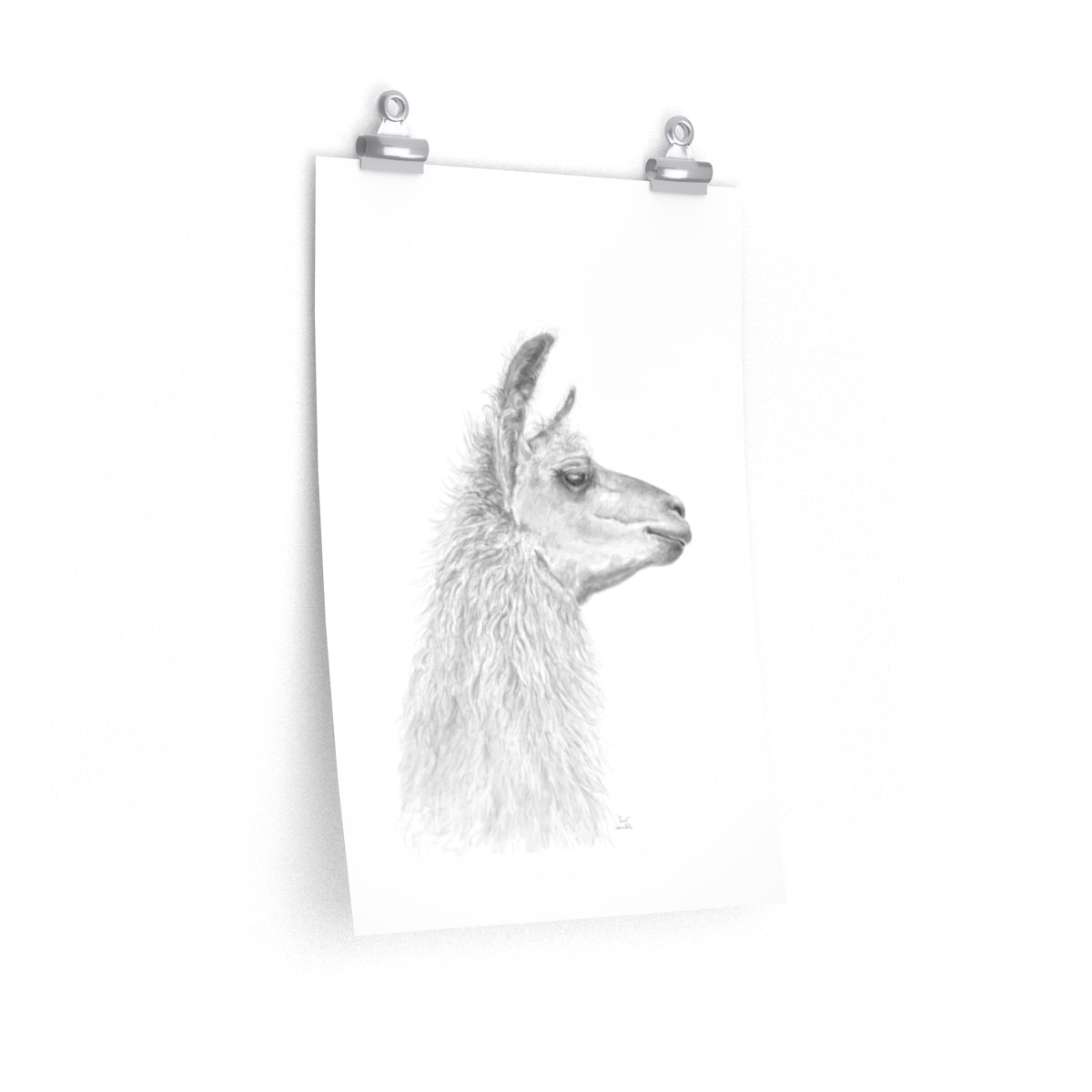 CAROL Llama- Art Paper Print