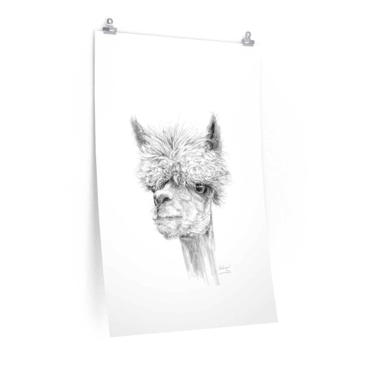 ANDREW Llama- Art Paper Print