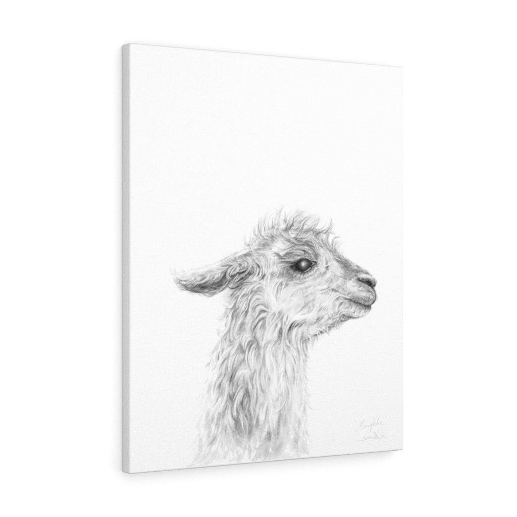 MENKHA - Canvas