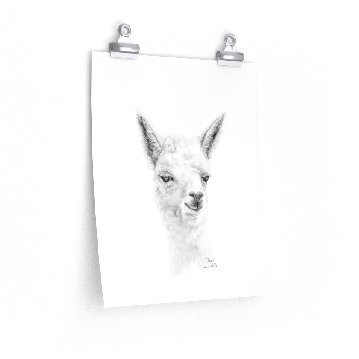 ROSIE Llama- Art Paper Print