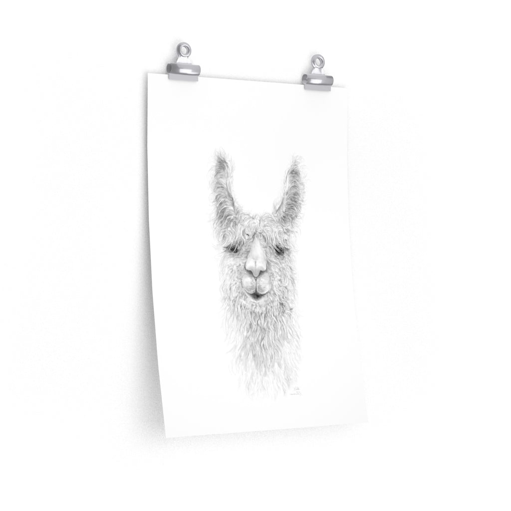 NIKKI Llama- Art Paper Print