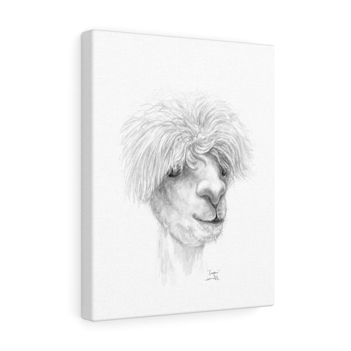 COOPER Llama - Art Canvas