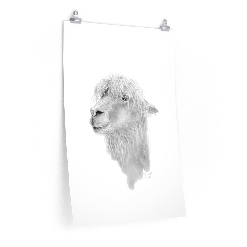 JARRETT Llama- Art Paper Print