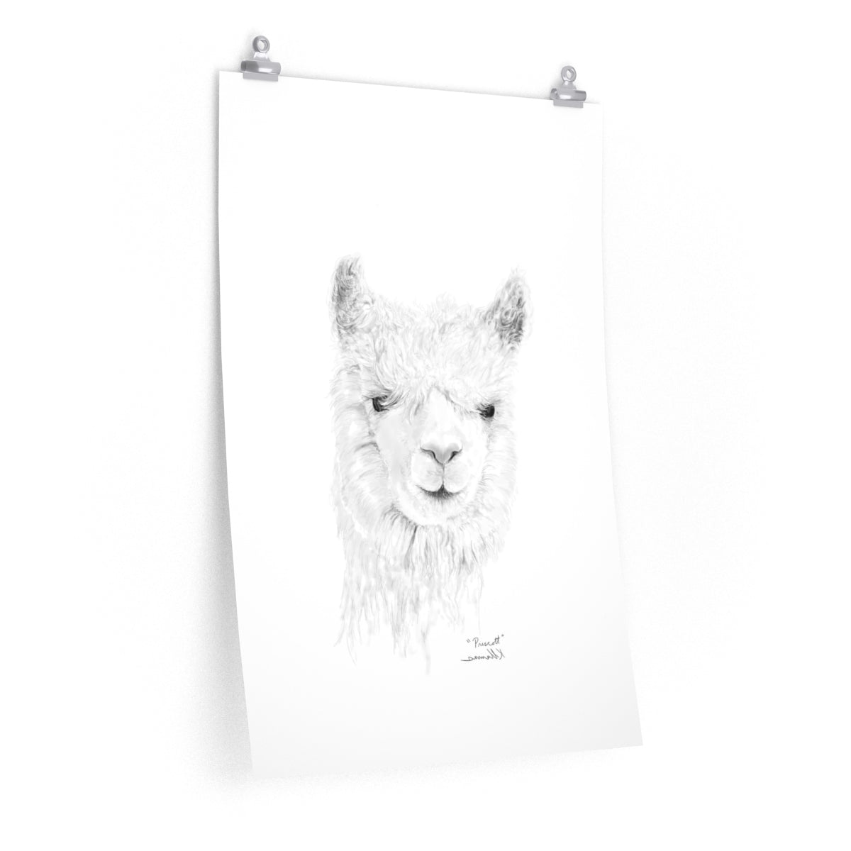 PRESCOTT Llama- Art Paper Print