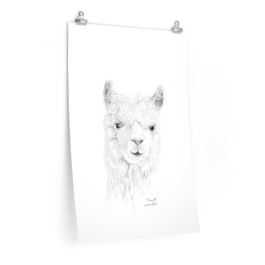 PRESCOTT Llama- Art Paper Print