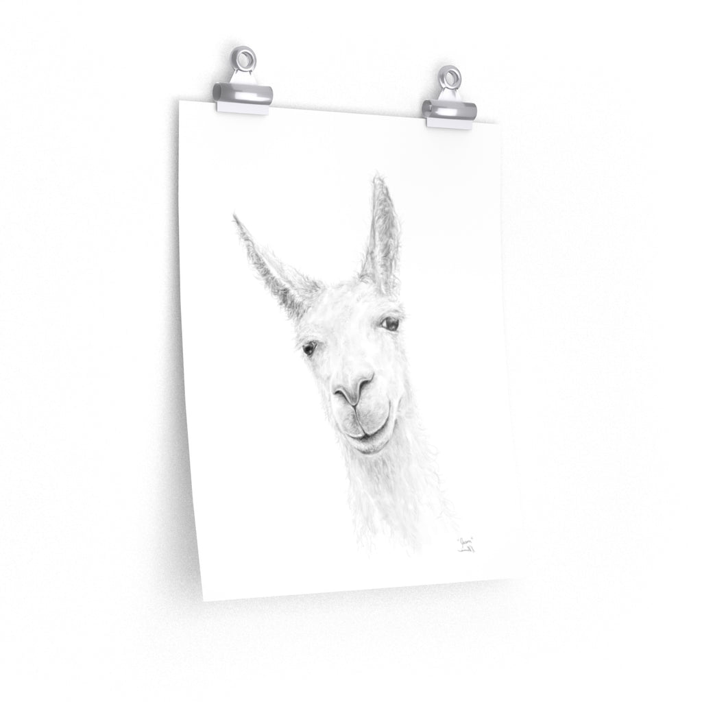 JASON Llama- Art Paper Print