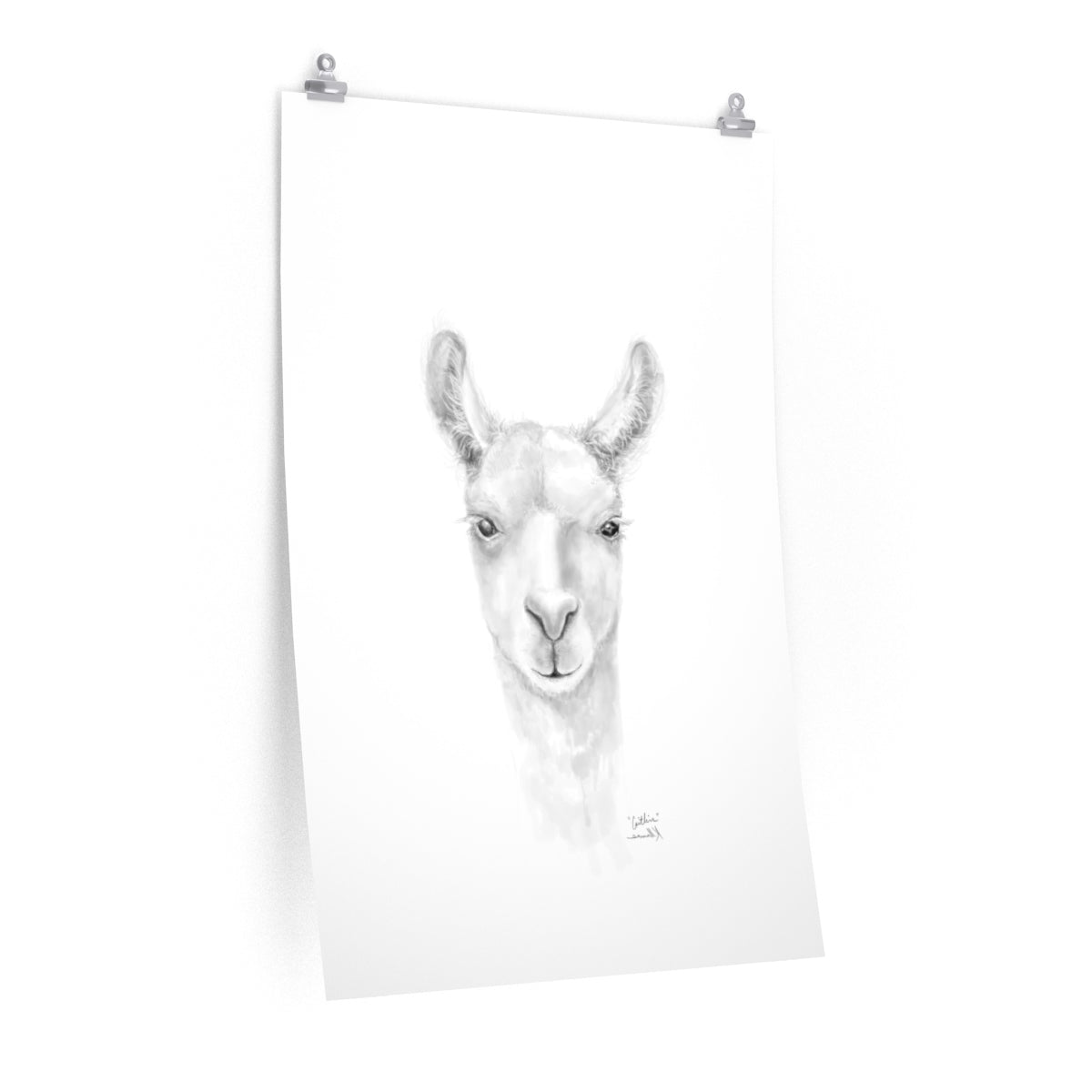 CAITLIN Llama- Art Paper Print