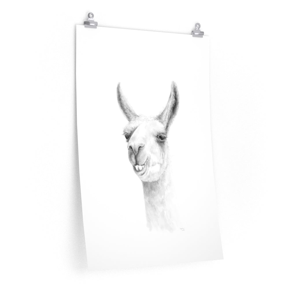 MAGDALENA Llama- Art Paper Print