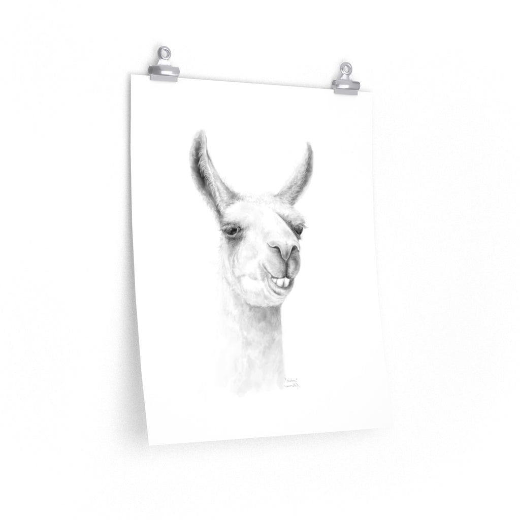 HUDSON Llama- Art Paper Print