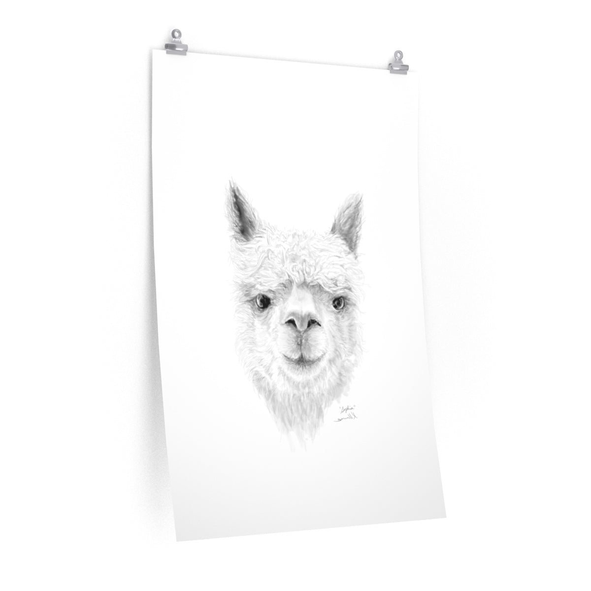 SOPHIA Llama- Art Paper Print