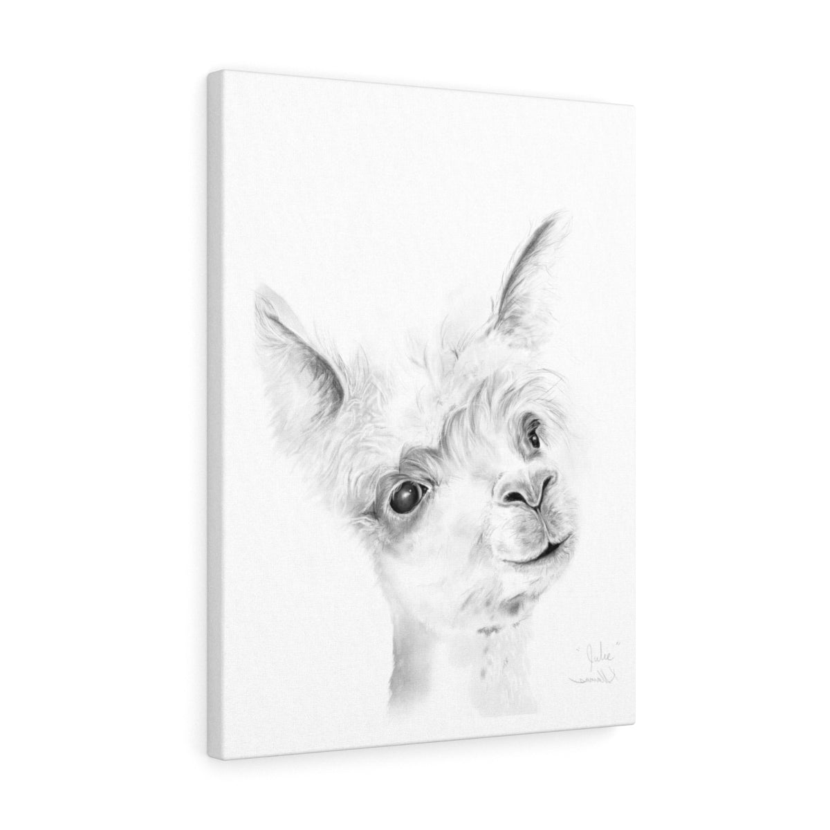 JULIE Llama - Art Canvas