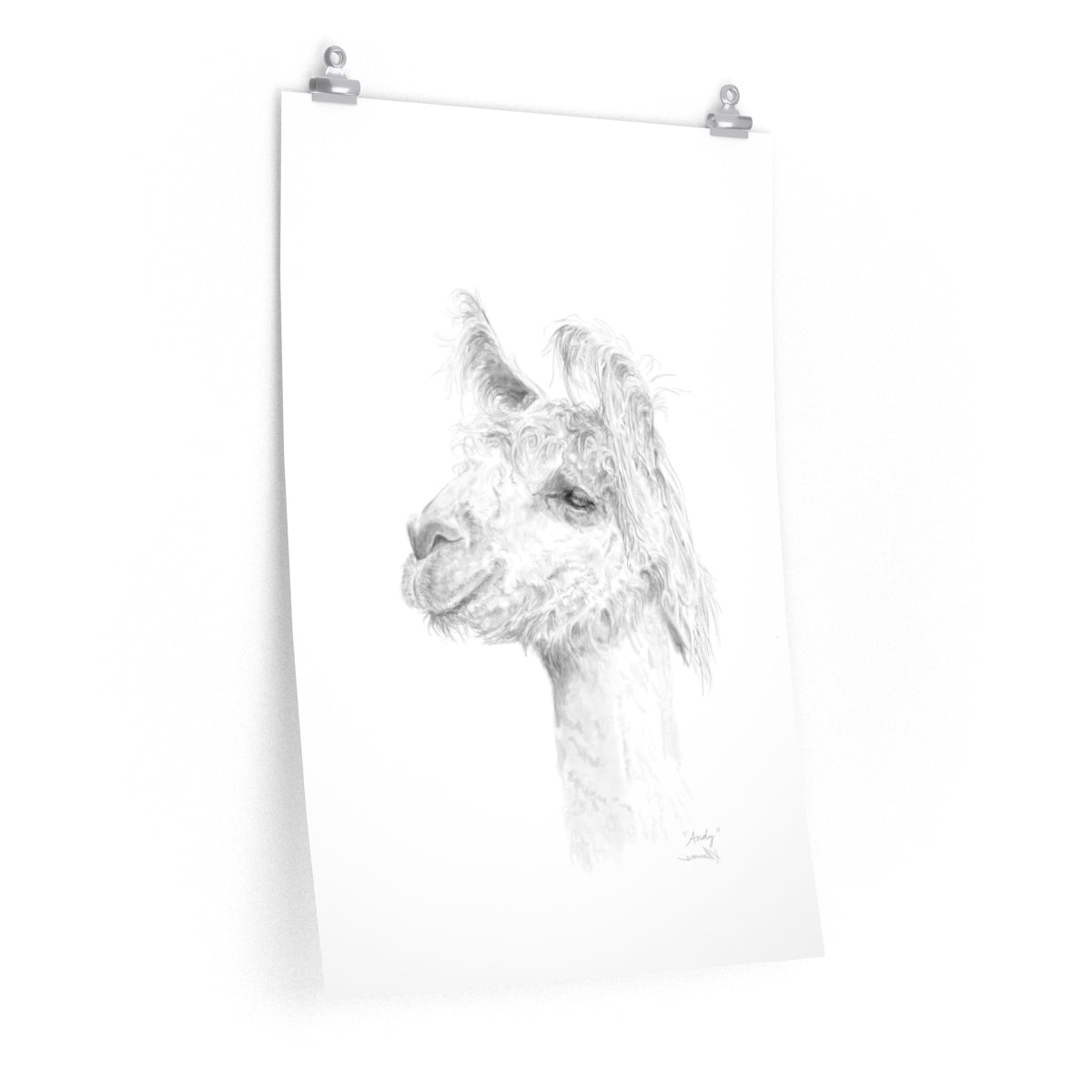 ANDY Llama- Art Paper Print