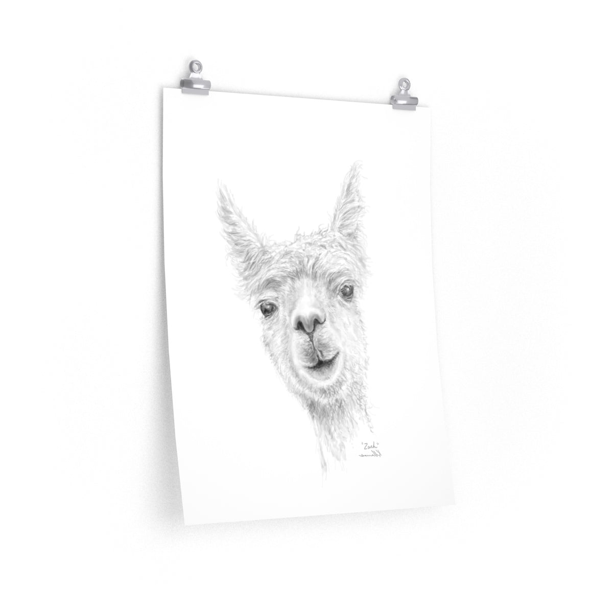 ZACH Llama- Art Paper Print