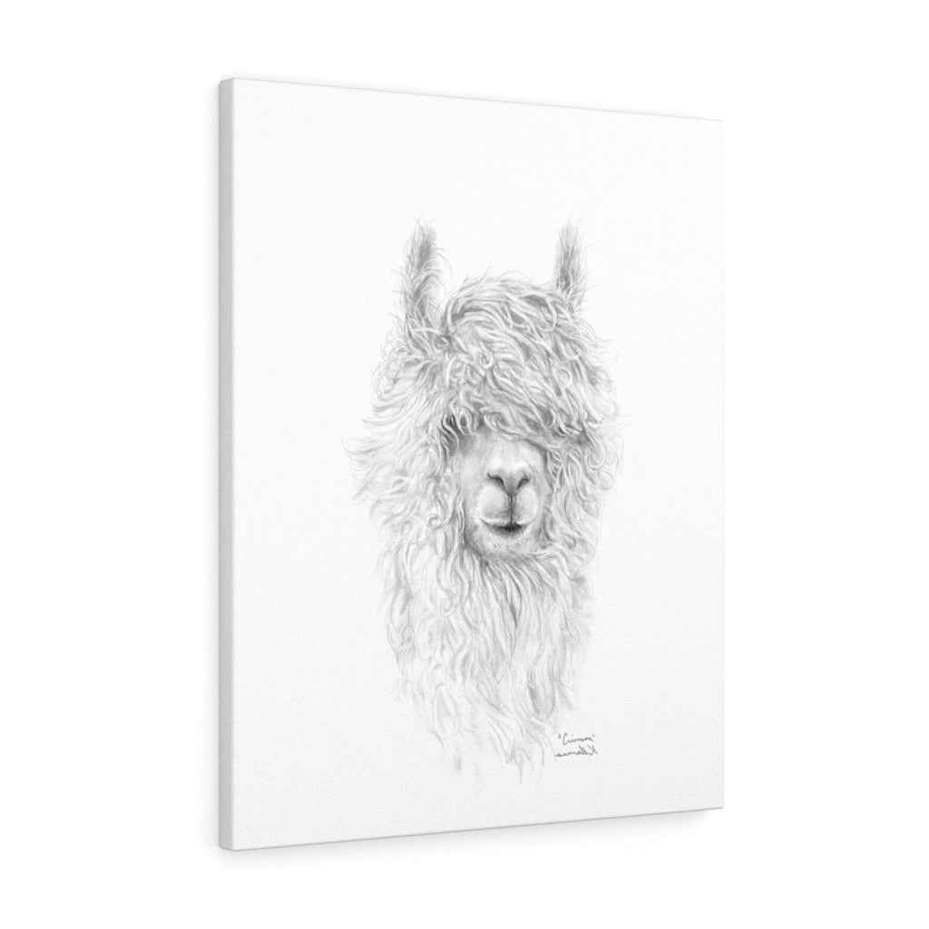 CRIMSON Llama - Art Canvas
