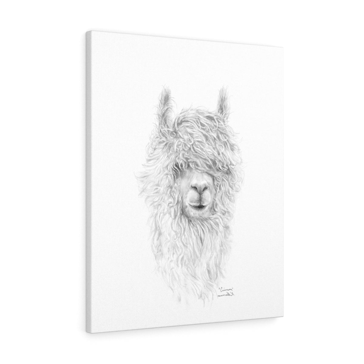 CRIMSON Llama - Art Canvas