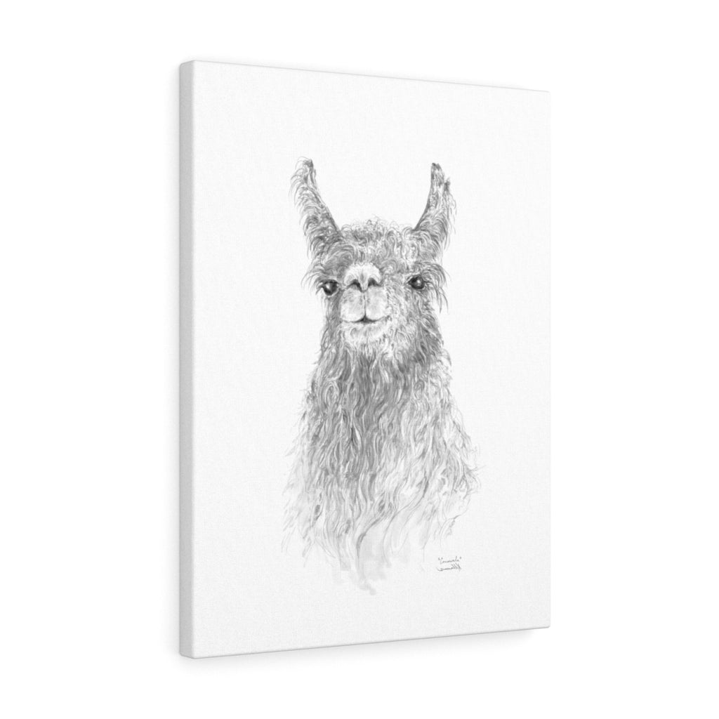 CONSWALA Llama- Art Canvas