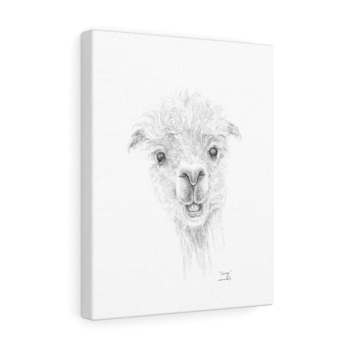 GEORGE Llama - Art Canvas