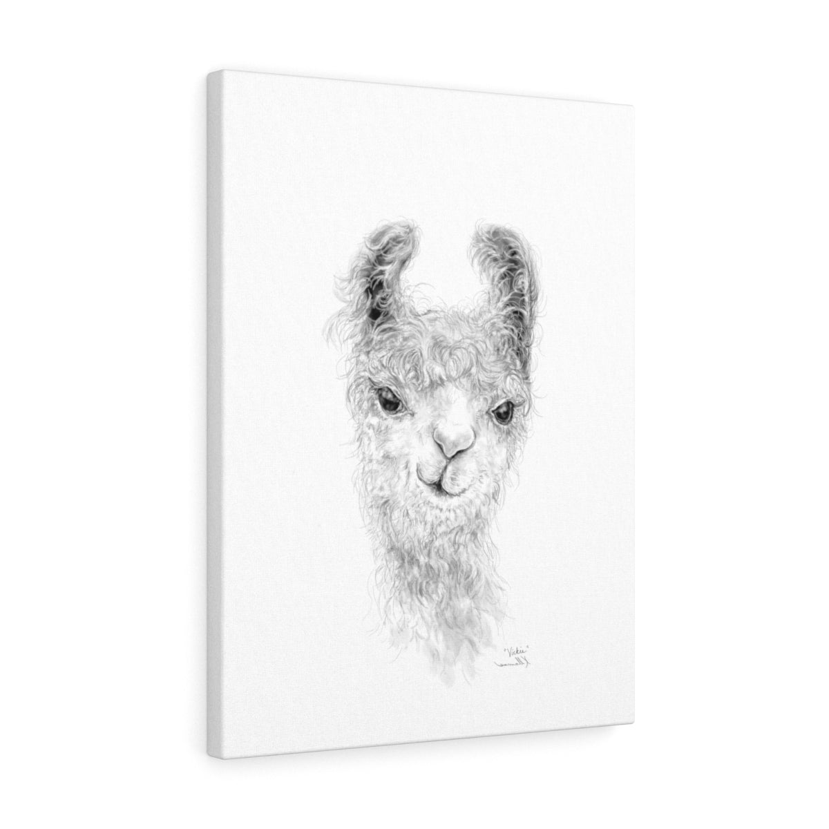 VICKIE Llama - Art Canvas