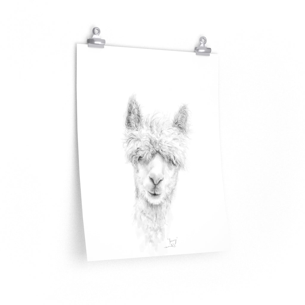 JENNY Llama- Art Paper Print
