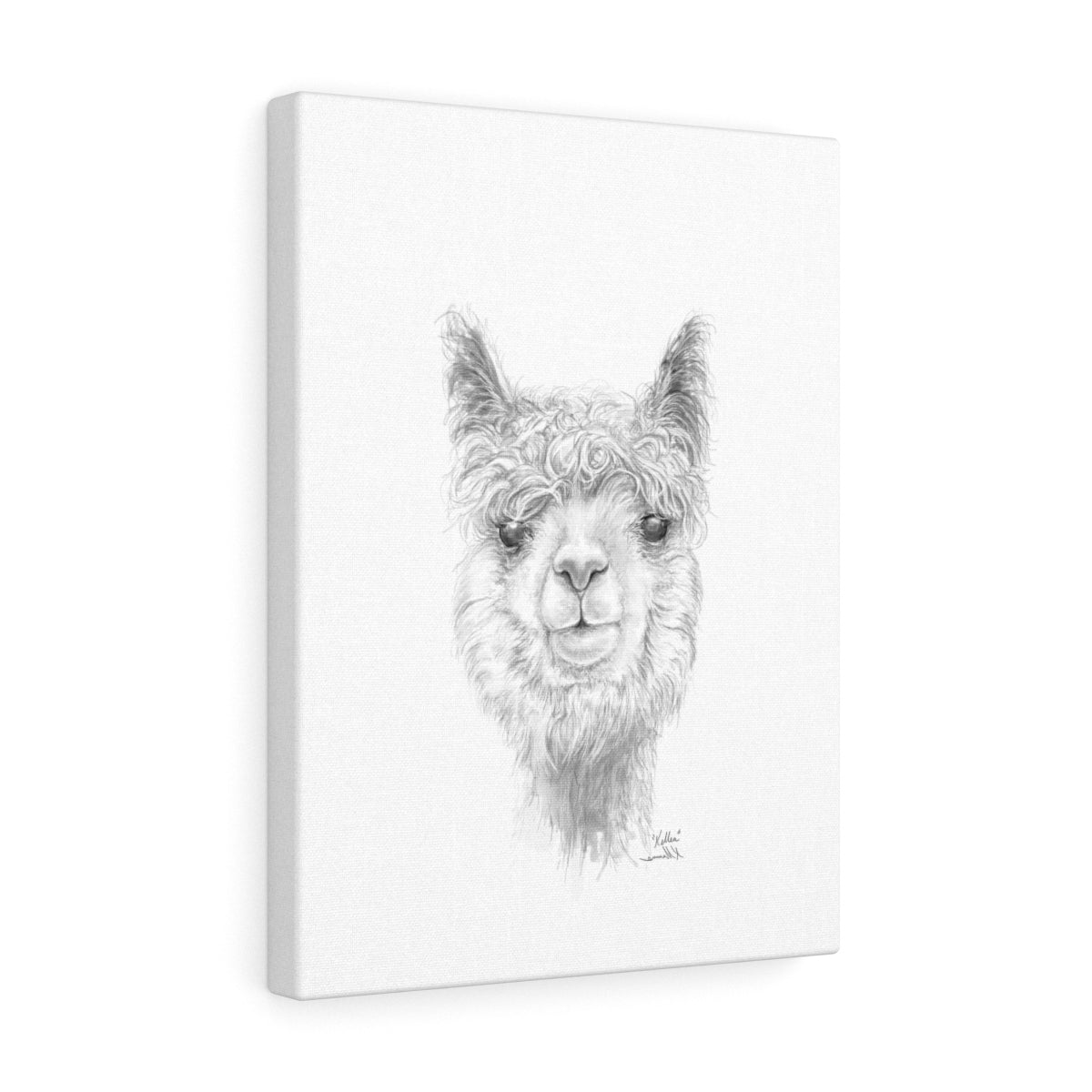 KELLEA Llama - Art Canvas