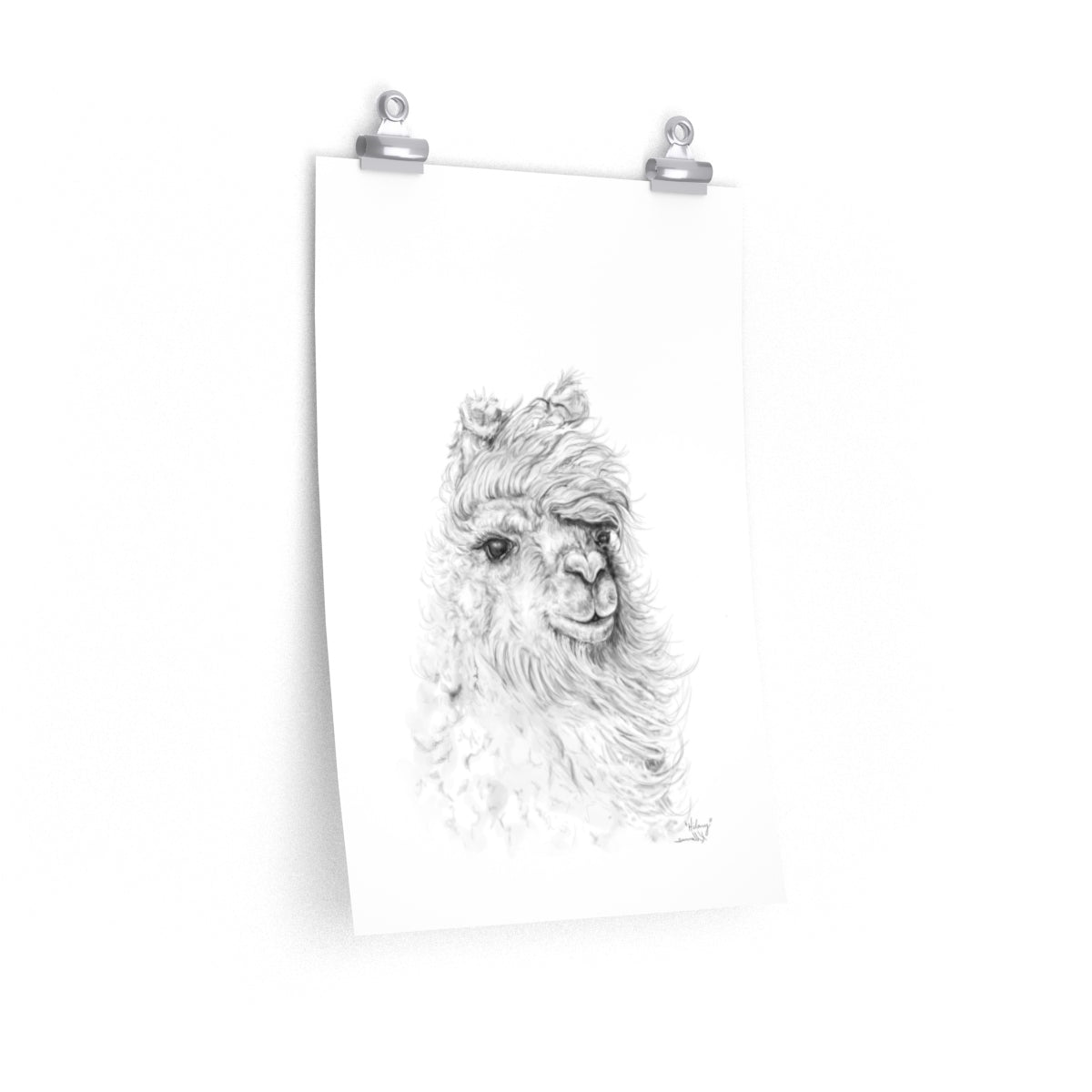 HILARY Llama- Art Paper Print