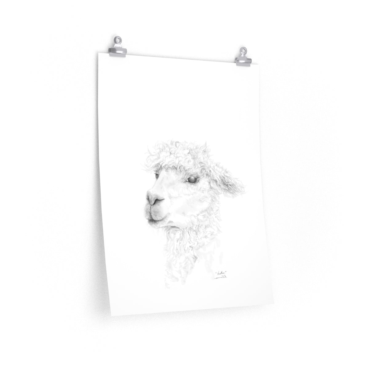 HEATHER Llama- Art Paper Print
