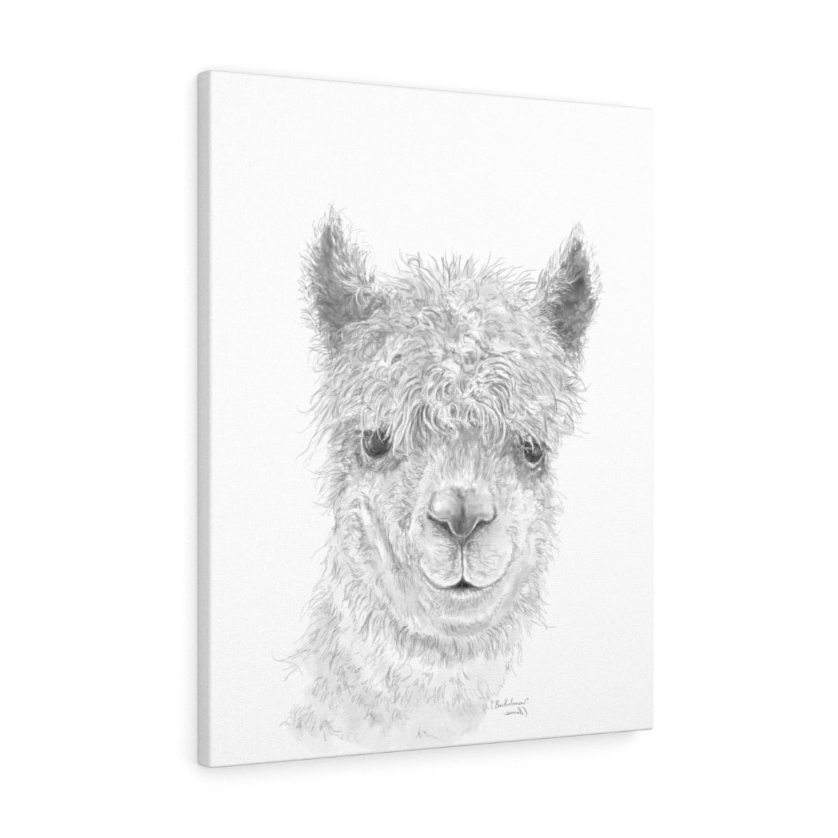 BARTHOLOMEW Llama - Art Canvas