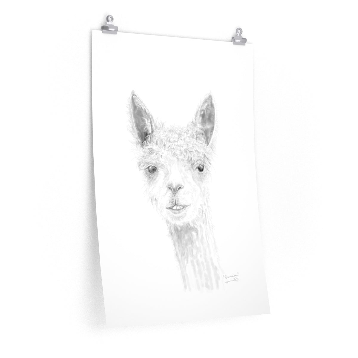 BRANDON Llama- Art Paper Print