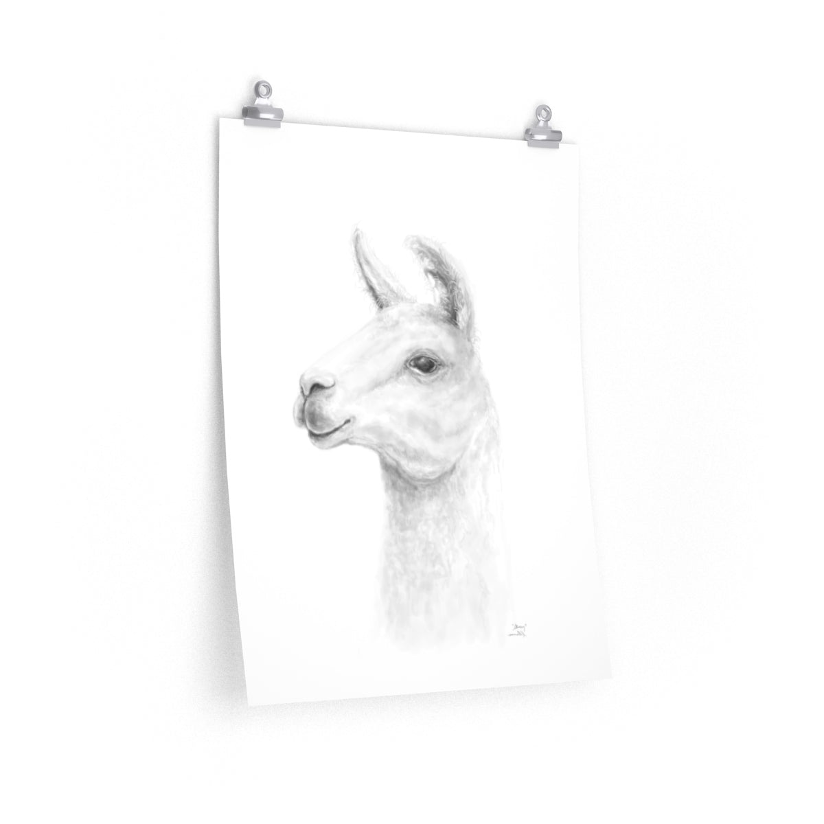STACY Llama- Art Paper Print