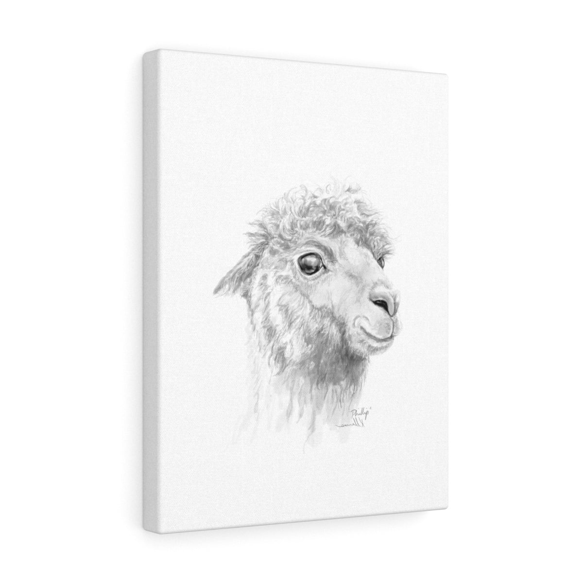 PHILLIP Llama - Art Canvas