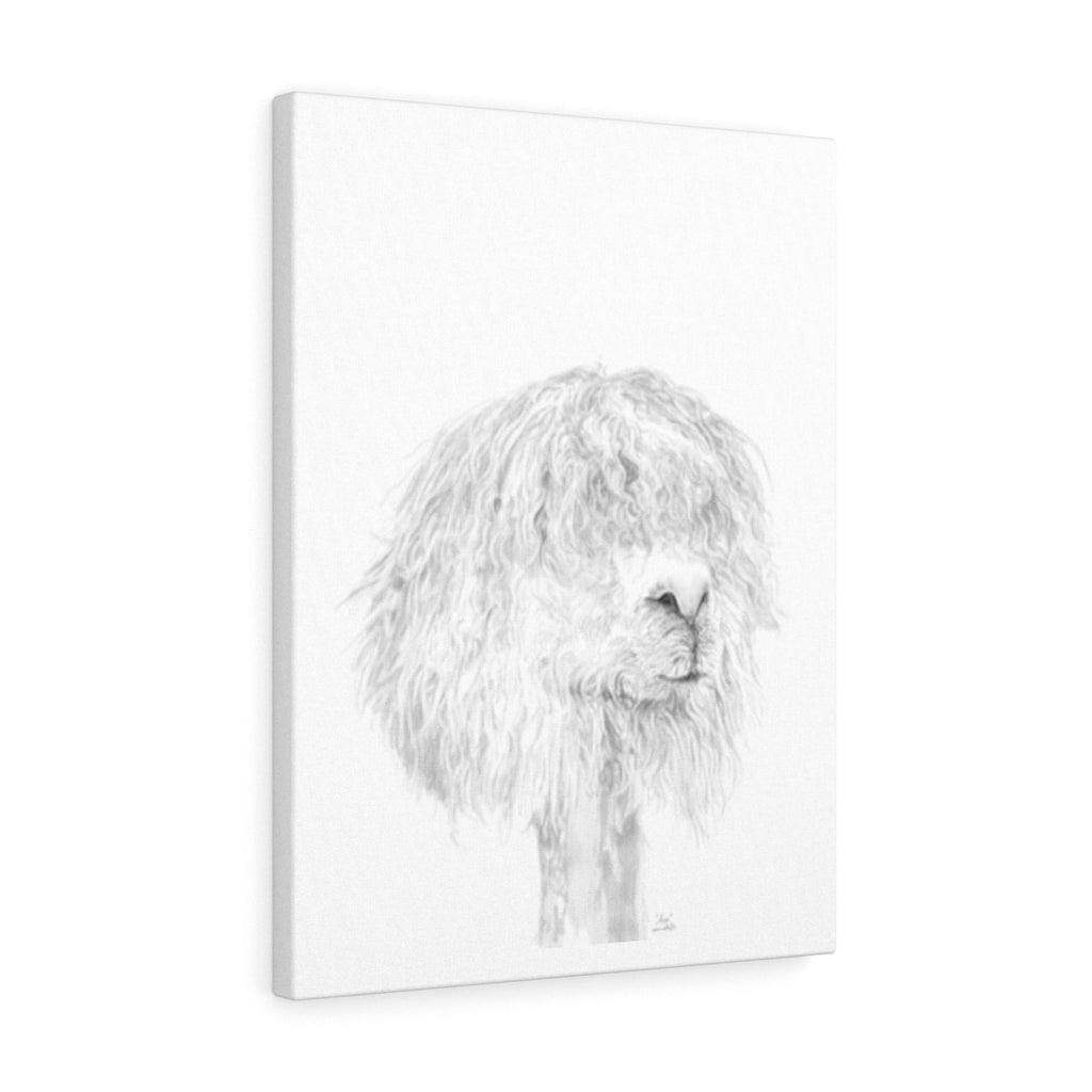 ASA Llama - Art Canvas