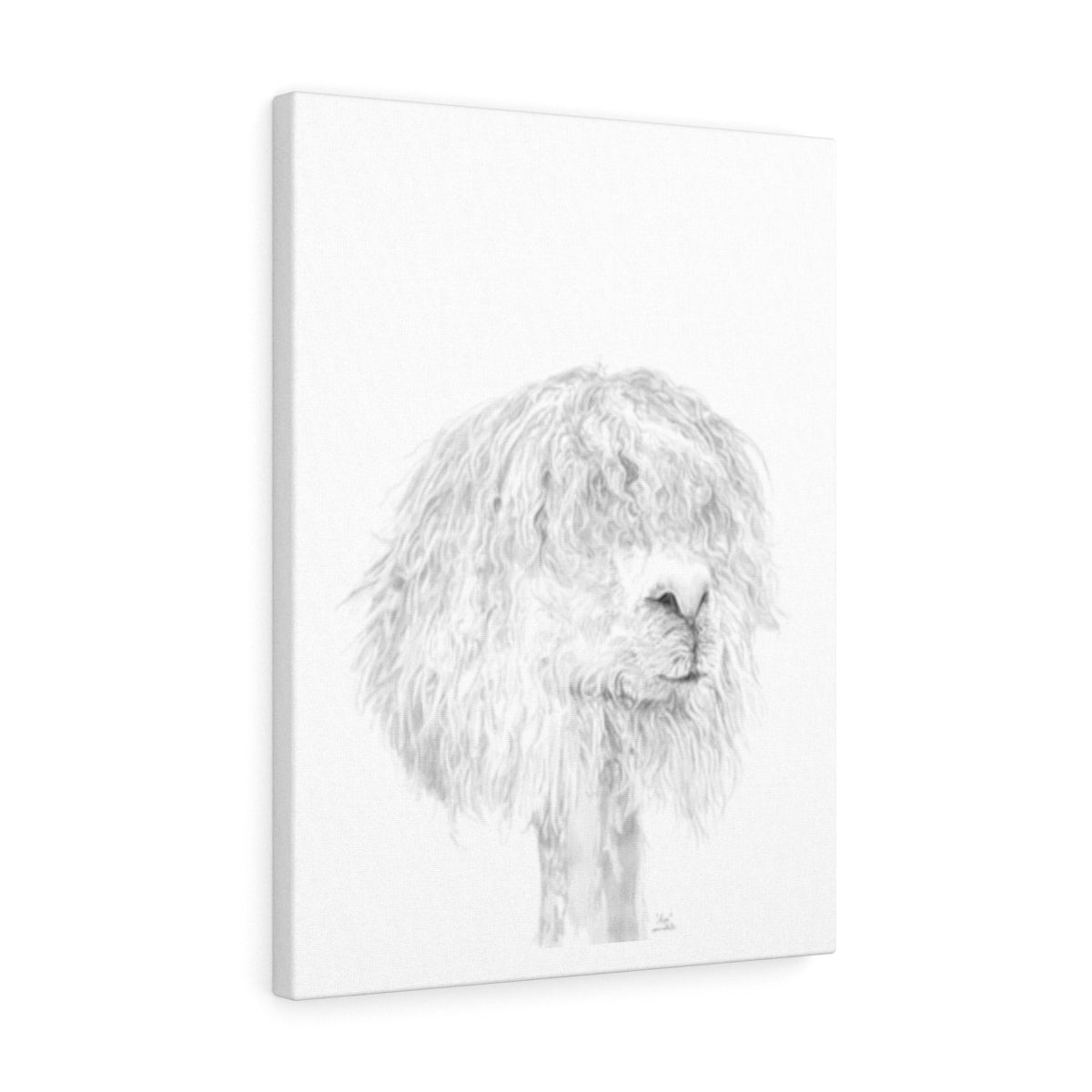 ASA Llama - Art Canvas