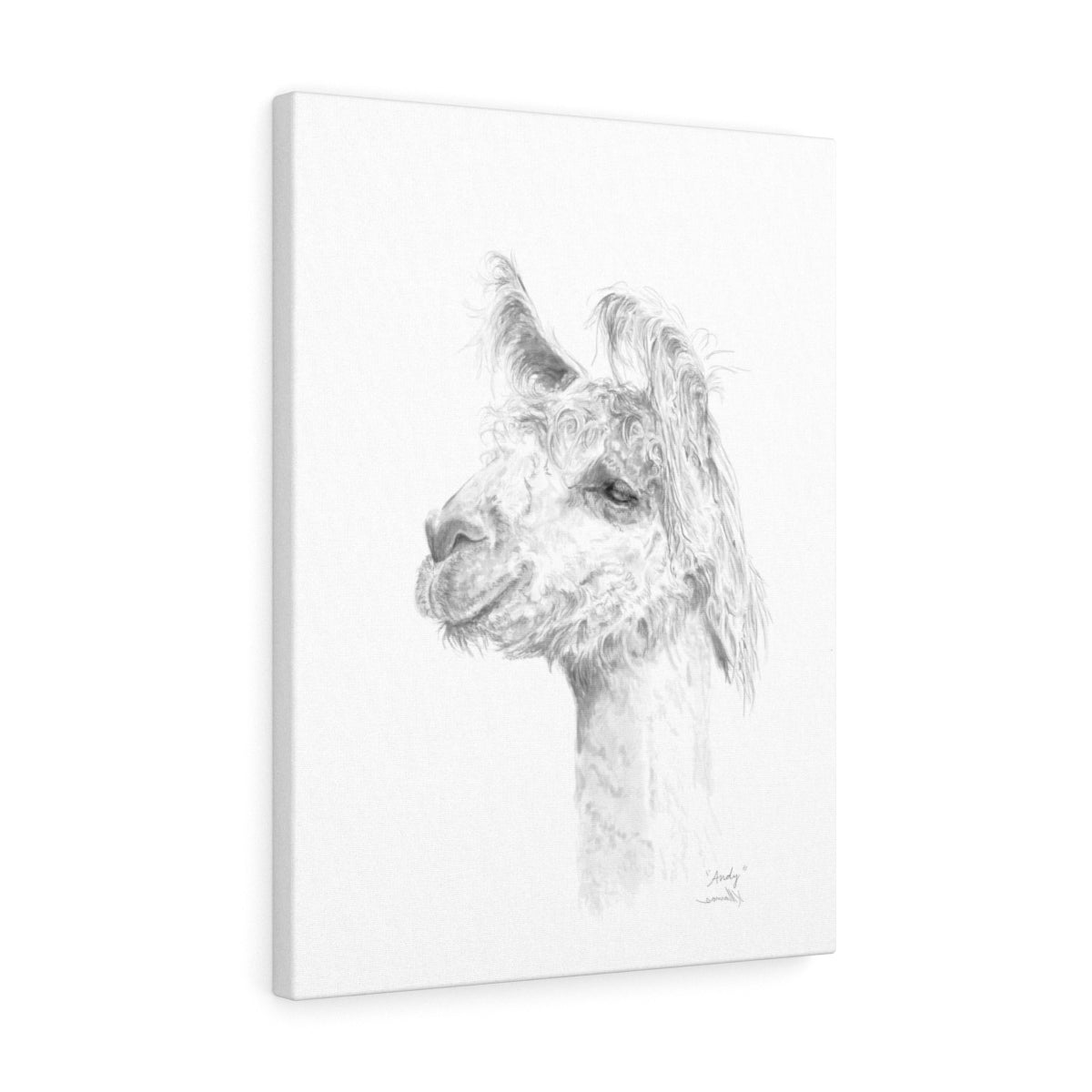 ANDY Llama - Art Canvas
