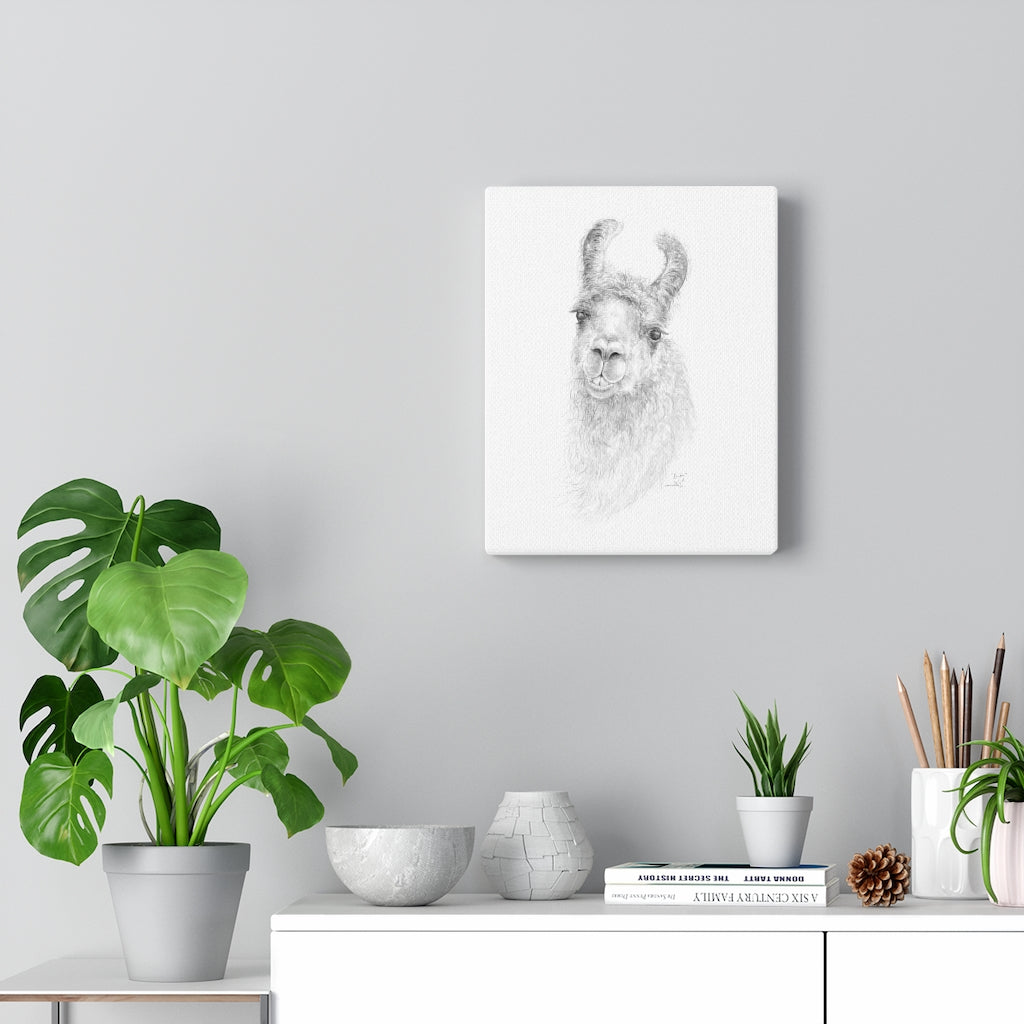 KIRBY Llama - Art Canvas