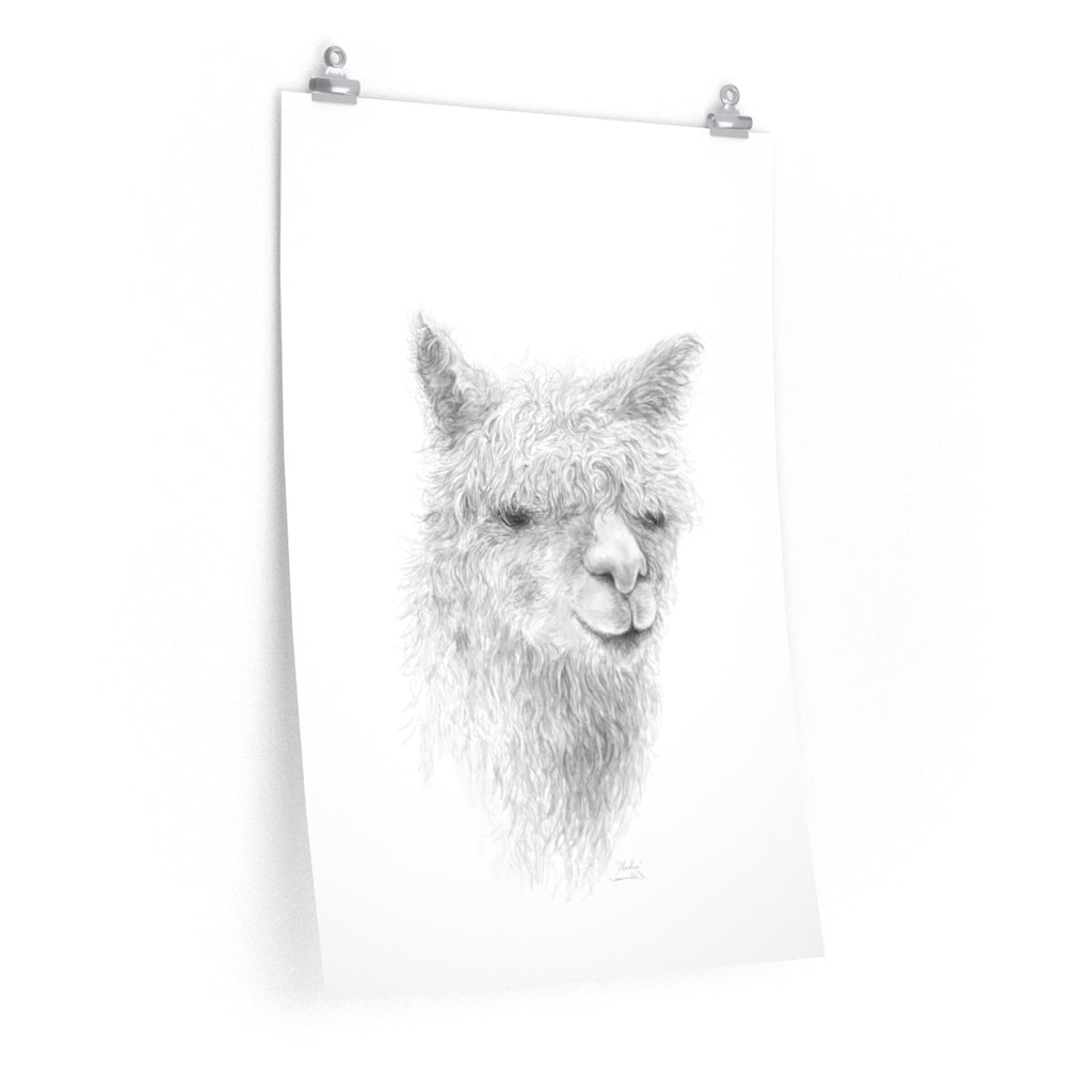NADIA Llama- Art Paper Print