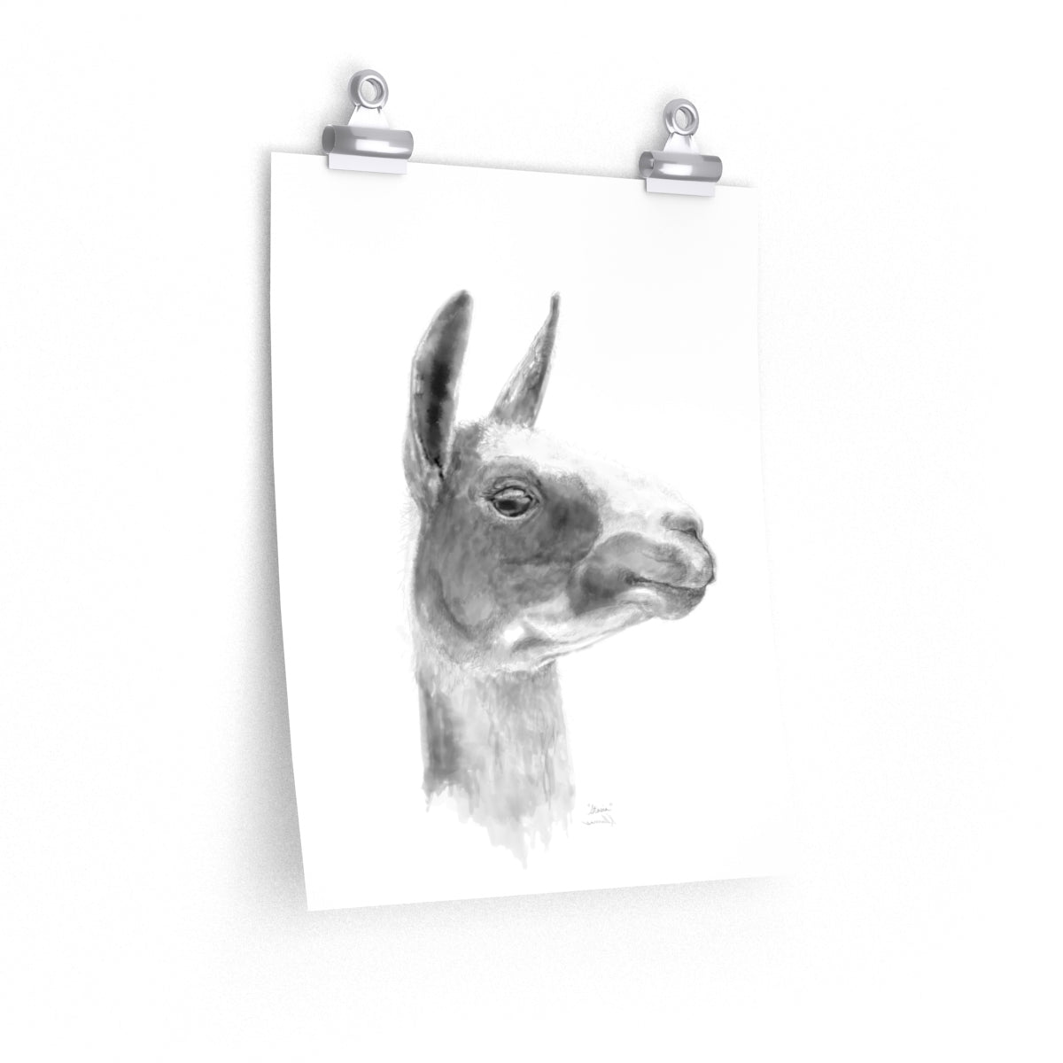 STASIA Llama- Art Paper Print