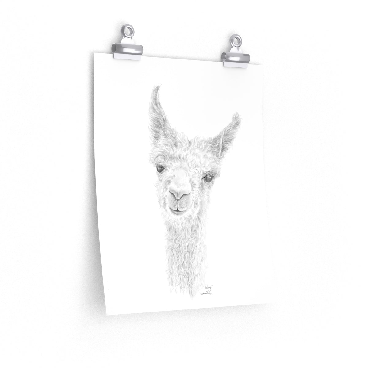 HALEY Llama- Art Paper Print