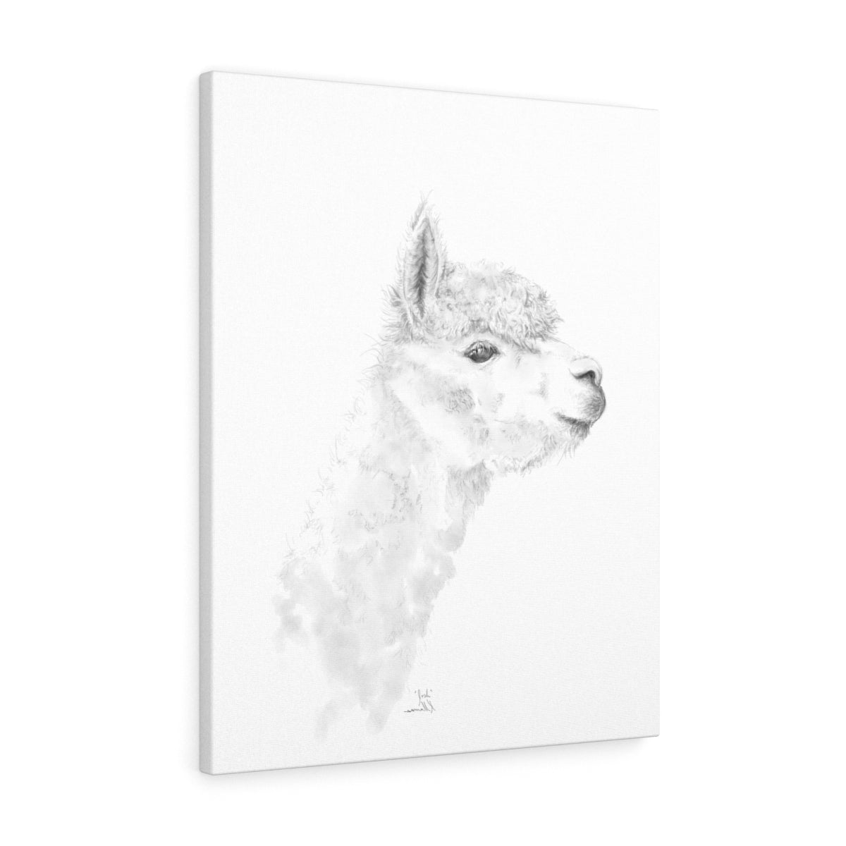 JOSH Llama - Art Canvas