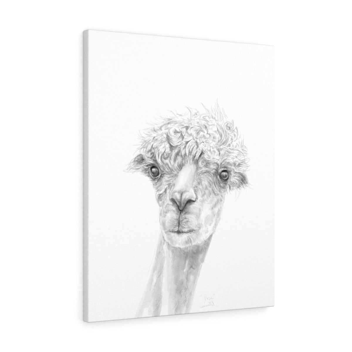 JOSE Llama - Art Canvas