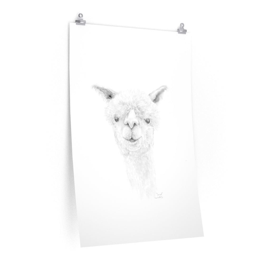 JARED Llama- Art Paper Print