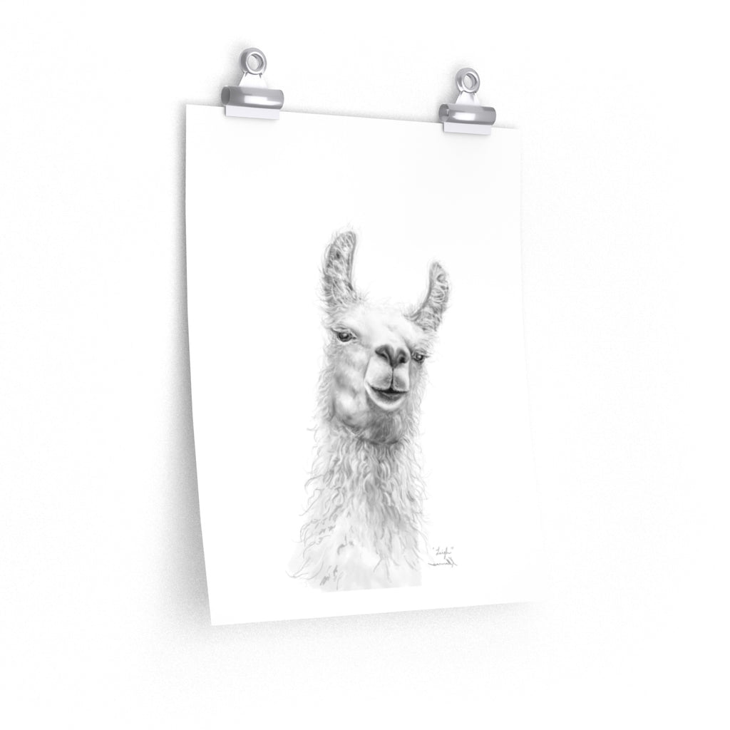 LEIGH Llama- Art Paper Print