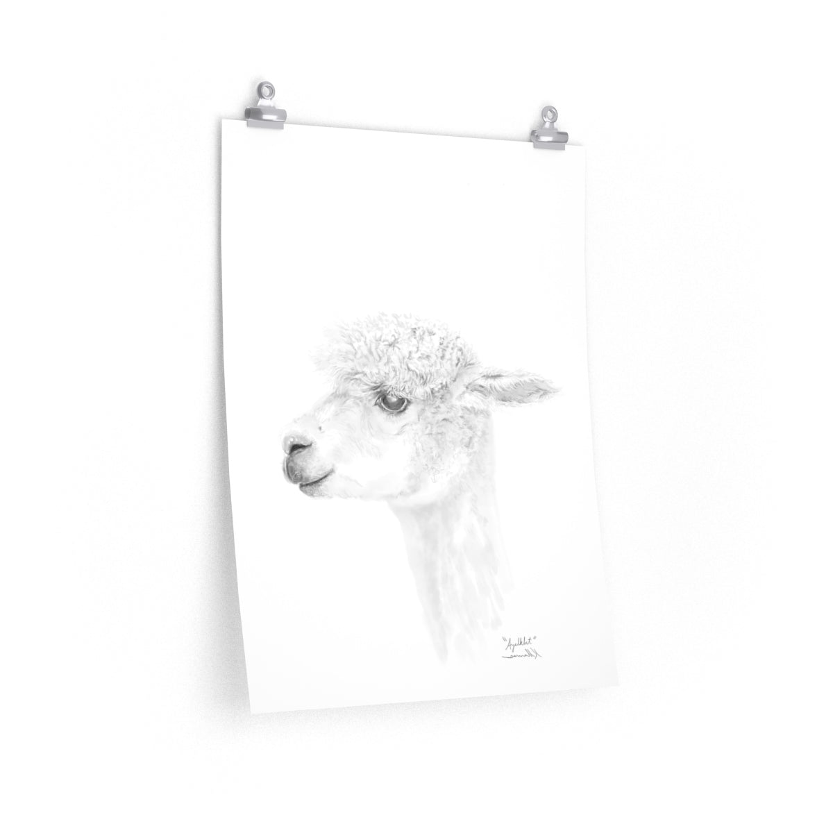 AYALKBET Llama- Art Paper Print