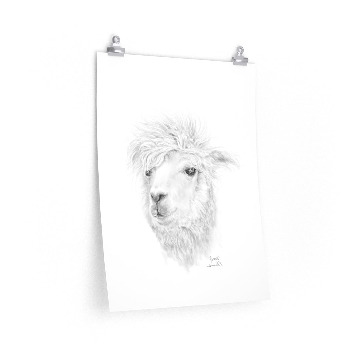 JOSEPH Llama- Art Paper Print
