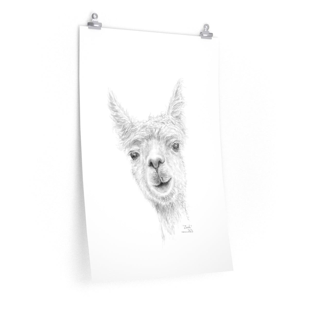 ZACH Llama- Art Paper Print