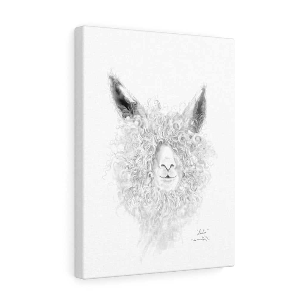 LESLIE llama- Art Canvas