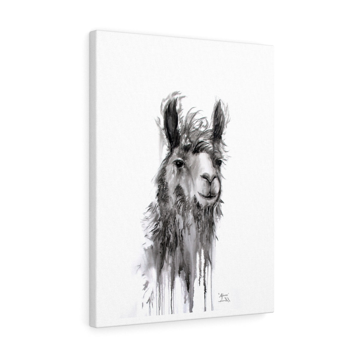ALFONSO Llama - Art Canvas