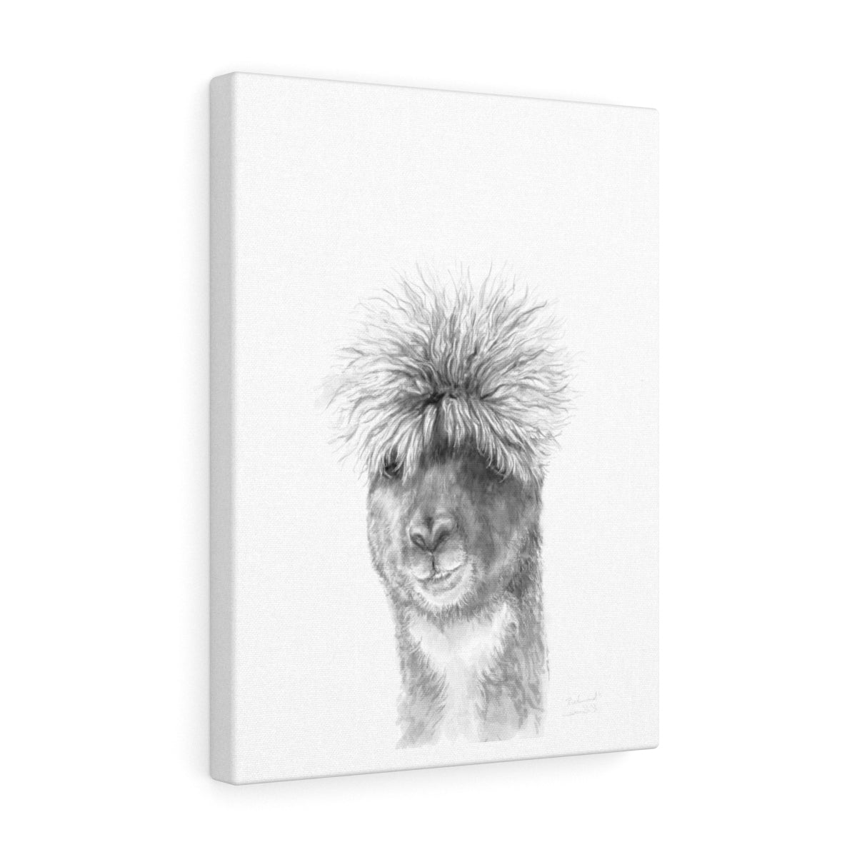 RICHMOND Llama - Art Canvas