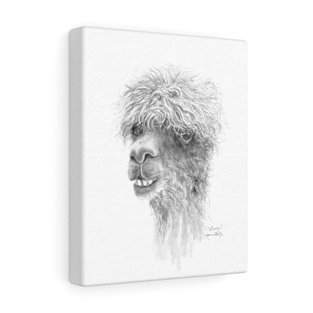 OLIVER Llama - Art Canvas